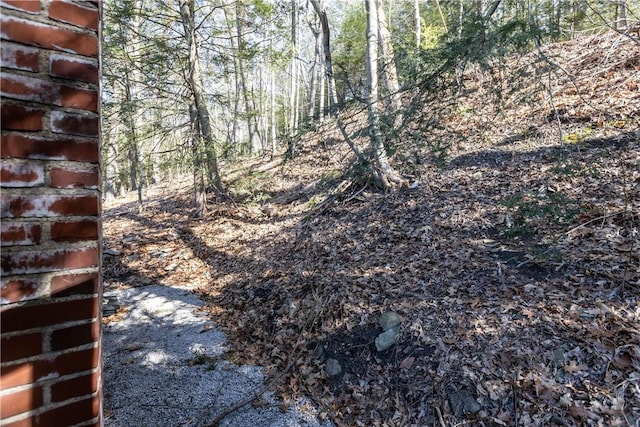 view of local wilderness