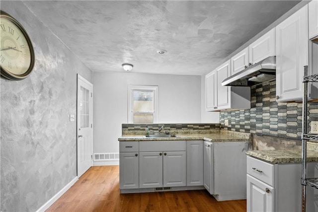 kitchen featuring under cabinet range hood, visible vents, a sink, and wood finished floors