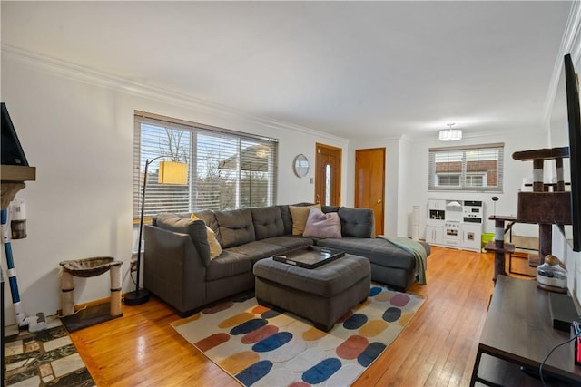 living area featuring light wood-type flooring and crown molding