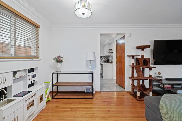 interior space with light wood-type flooring, baseboards, and ornamental molding