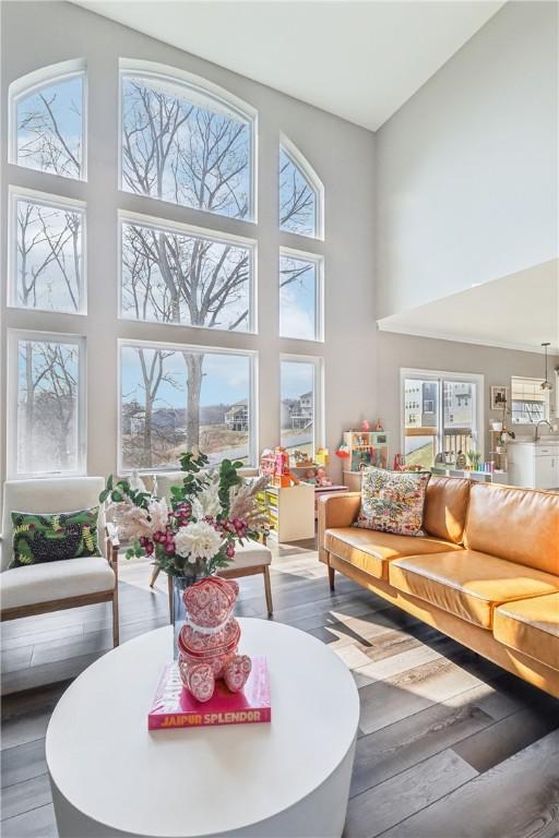 interior space with a towering ceiling, hardwood / wood-style flooring, and a healthy amount of sunlight