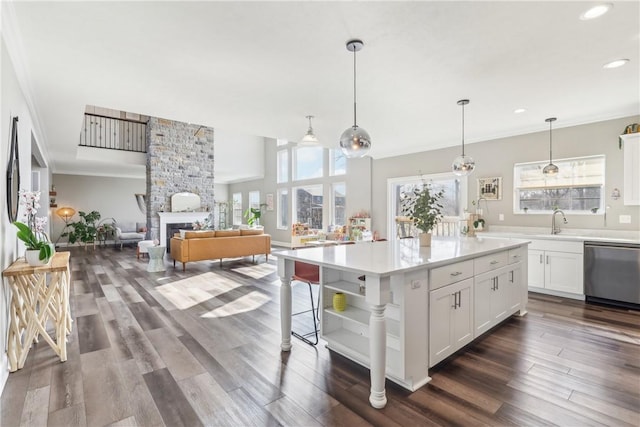 kitchen featuring a wealth of natural light, a fireplace, dark wood finished floors, and dishwasher