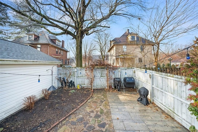 view of yard with a patio area and a fenced backyard