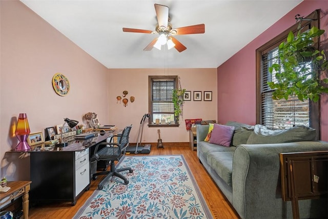 office featuring a ceiling fan and light wood-type flooring