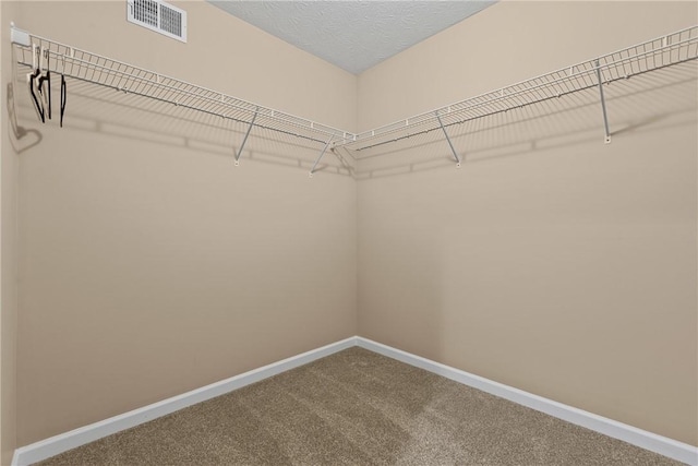 walk in closet with carpet and visible vents