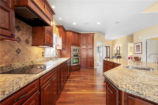 kitchen featuring stainless steel appliances, dark wood finished floors, premium range hood, and a sink