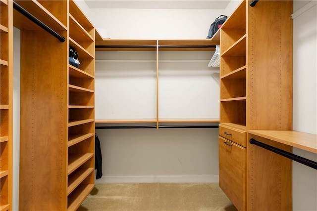 walk in closet featuring carpet floors