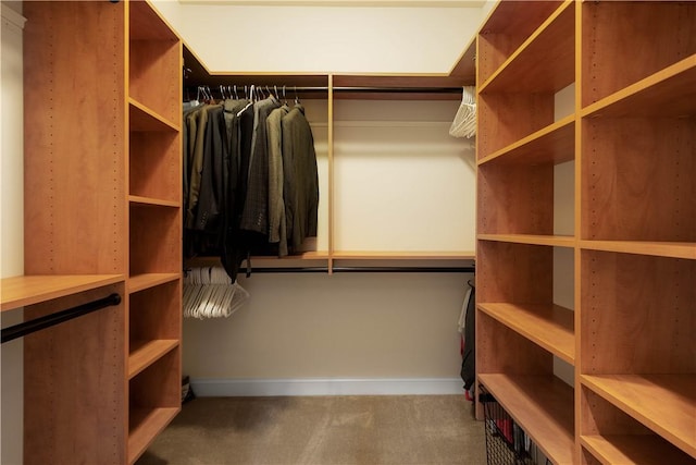 walk in closet with carpet flooring