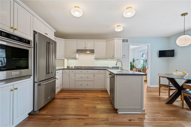 kitchen featuring under cabinet range hood, stainless steel appliances, a peninsula, a sink, and light wood-type flooring