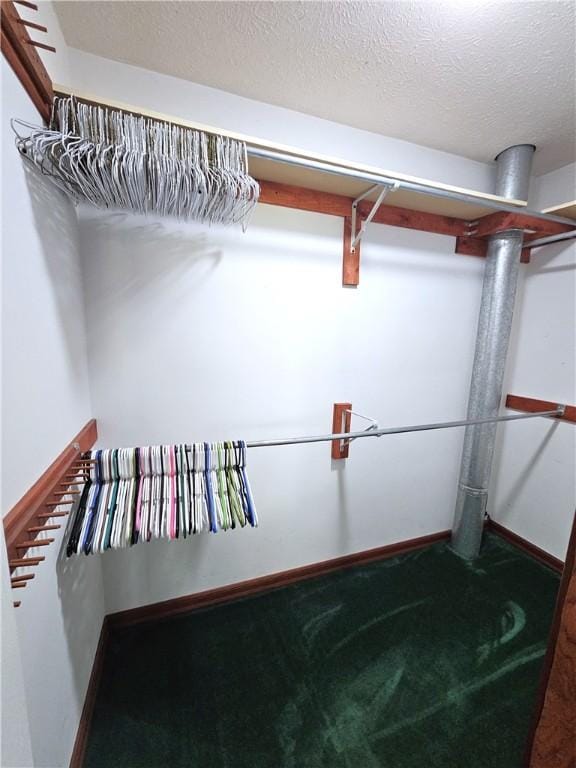 spacious closet with carpet