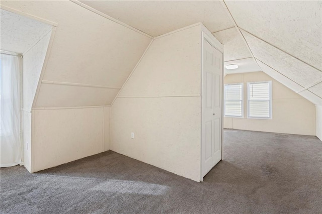 additional living space featuring carpet and vaulted ceiling