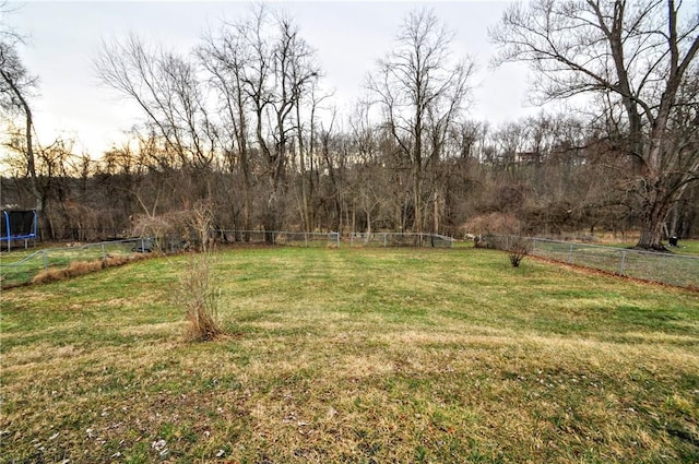 view of yard with a trampoline and a fenced backyard