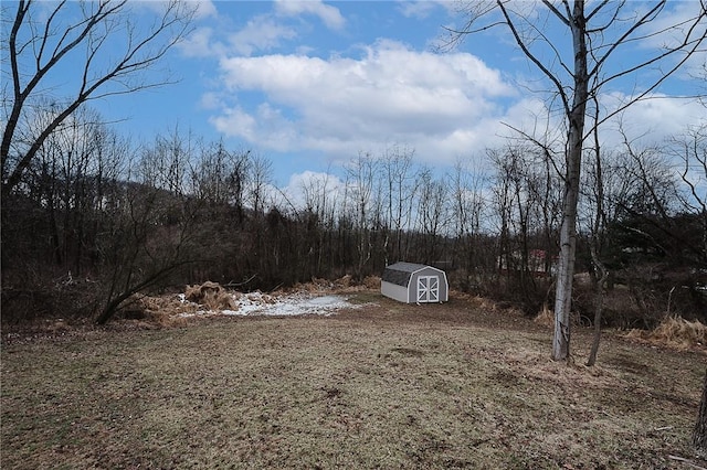 view of yard featuring a storage unit and an outdoor structure