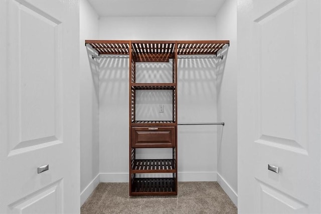 walk in closet featuring carpet flooring