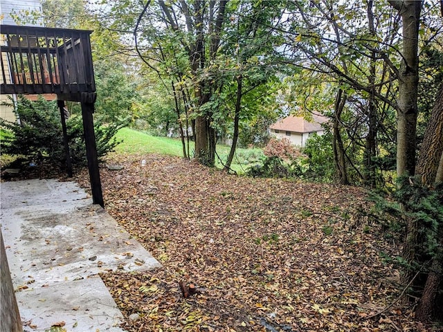 311 Fairview Ave, Glassport, PA 15045 - view of yard featuring a deck