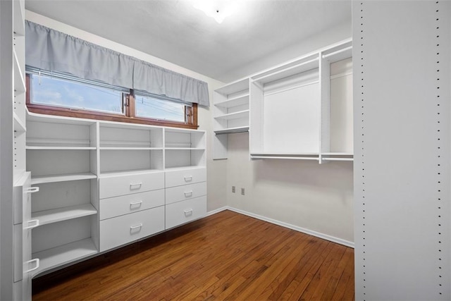 walk in closet featuring hardwood / wood-style flooring