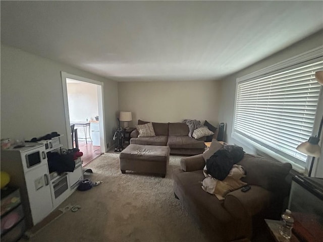 view of carpeted living room