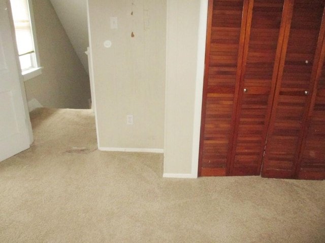 additional living space with carpet floors