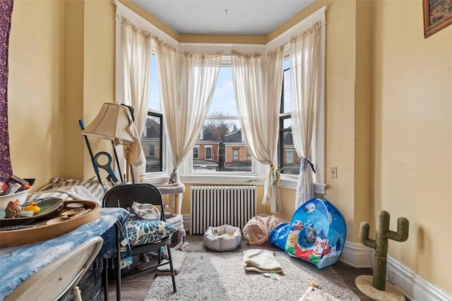 interior space featuring radiator, baseboards, and wood finished floors