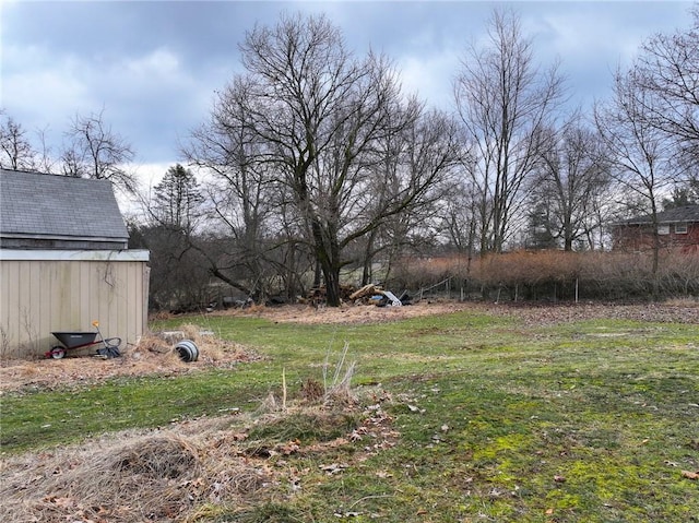 view of yard with an outbuilding