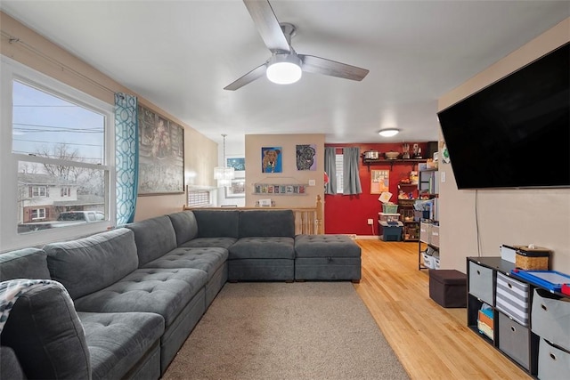 living room featuring ceiling fan, light wood-style floors, and a healthy amount of sunlight