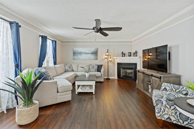 living area with ornamental molding, a fireplace, dark wood finished floors, and a ceiling fan