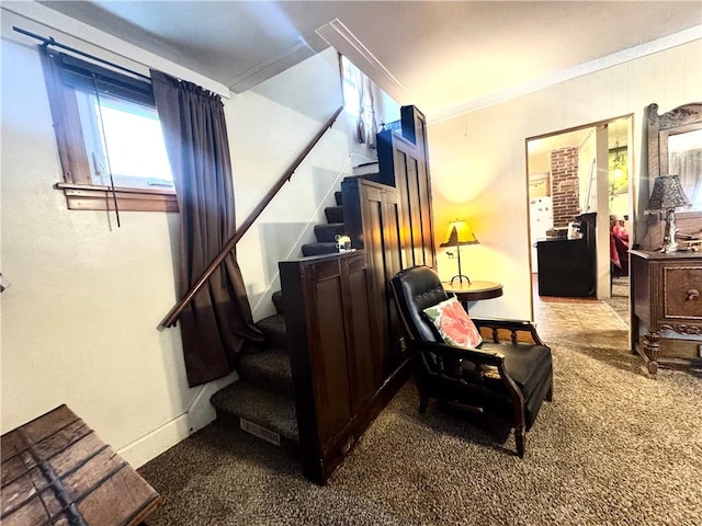 interior space with carpet and ornamental molding