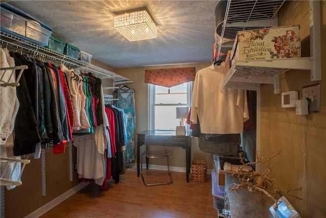 spacious closet featuring wood finished floors