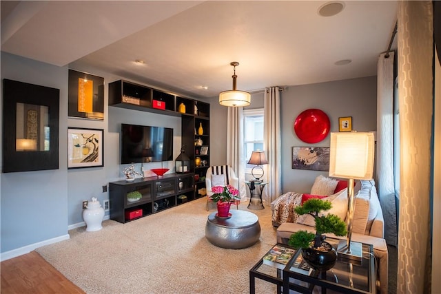 living area with carpet and baseboards