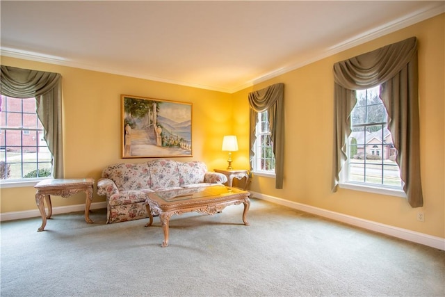 sitting room featuring baseboards, carpet flooring, and crown molding