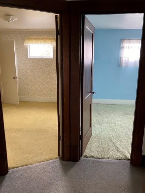 225 Country Club Rd, Penn Twp But, PA 16002 - corridor with carpet floors, baseboards, and wallpapered walls