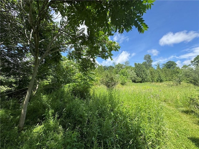 299 N 1st St, White Twp Ind, PA 15701 - photo 29