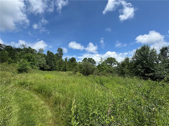 299 N 1st St, White Twp Ind, PA 15701 - photo 30