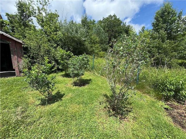299 N 1st St, White Twp Ind, PA 15701 - photo 21