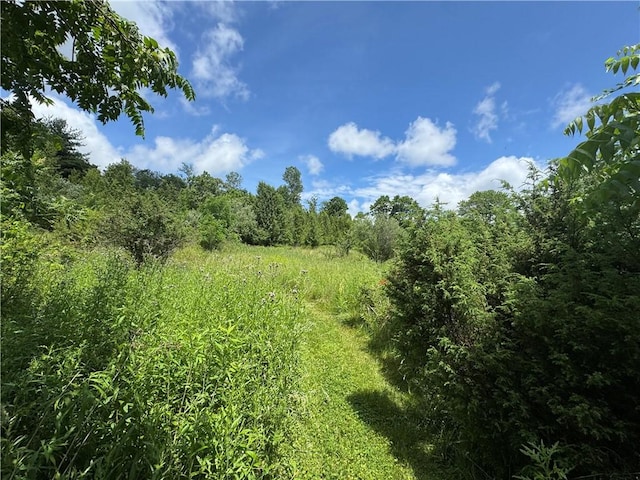299 N 1st St, White Twp Ind, PA 15701 - photo 26