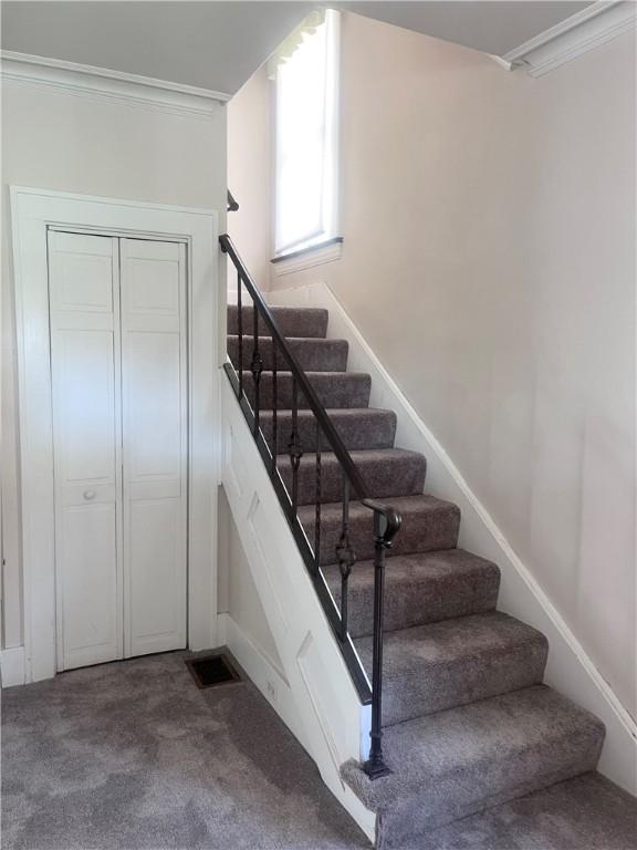 562 5th St, City Of But Ne, PA 16001 - stairs featuring crown molding and carpet
