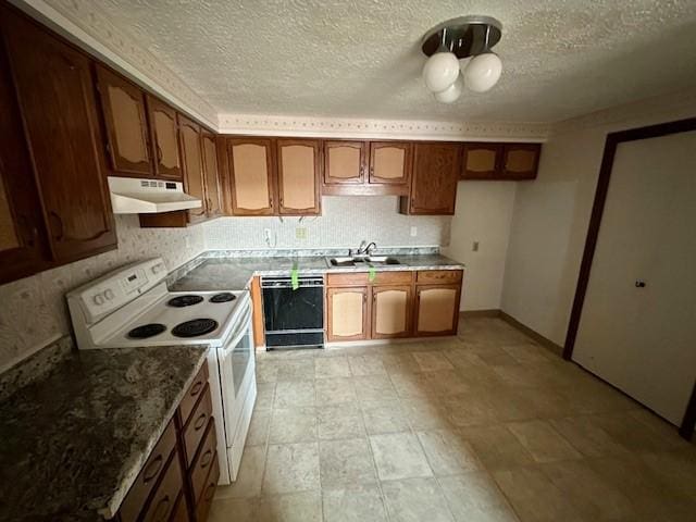 kitchen with white electric range oven, decorative backsplash, dishwasher, under cabinet range hood, and a sink