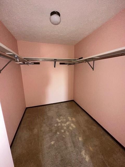 spacious closet with carpet