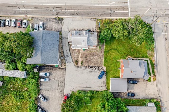 bird's eye view