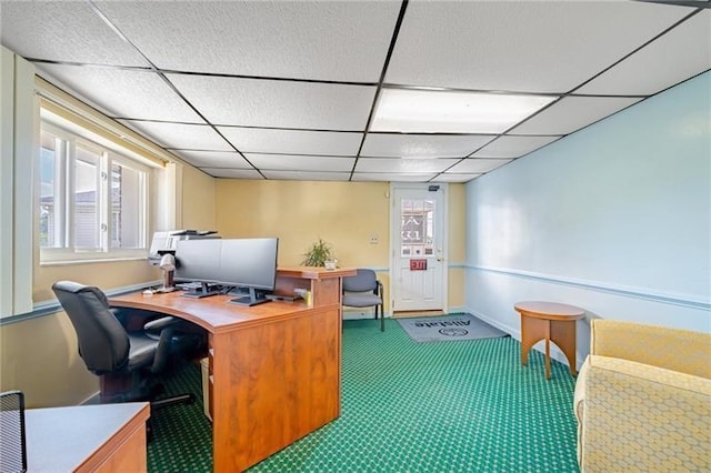 carpeted office with baseboards, a paneled ceiling, and a healthy amount of sunlight