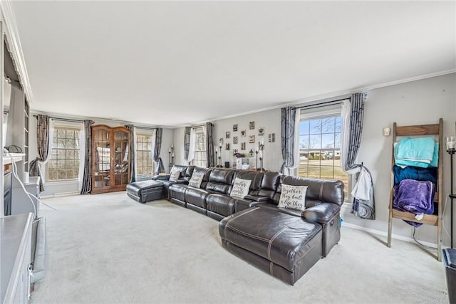 living area with carpet, ornamental molding, and baseboards