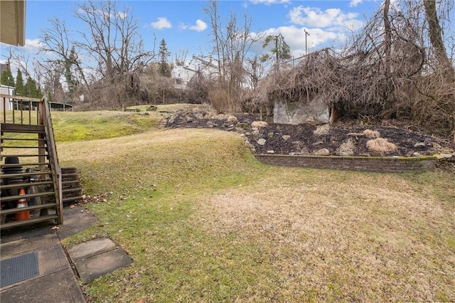 view of yard with stairs