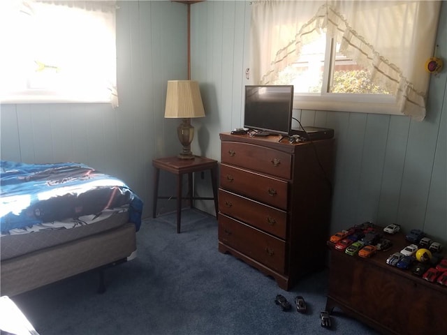 bedroom featuring multiple windows and carpet flooring