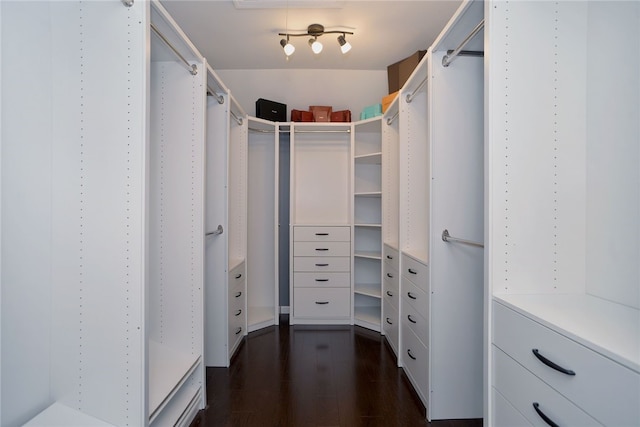 spacious closet with dark wood-style floors