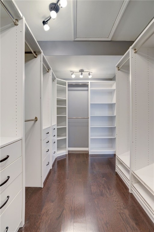 walk in closet with dark wood-type flooring