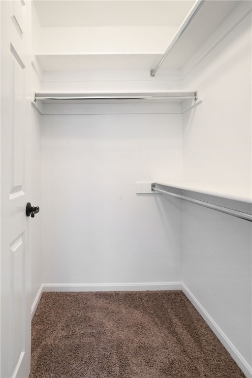 spacious closet with carpet floors