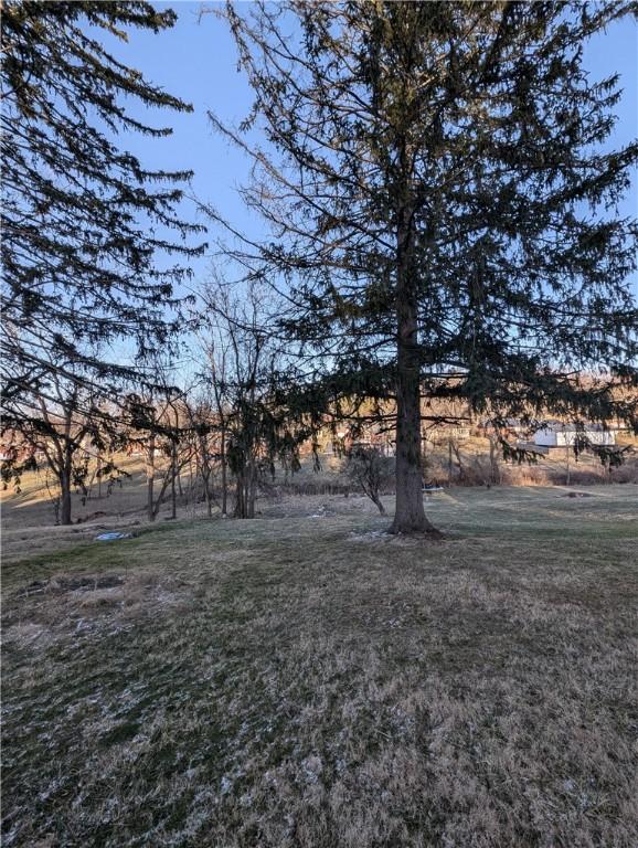 921 Park Ave N, Franklin Twp, PA 15301 - view of yard