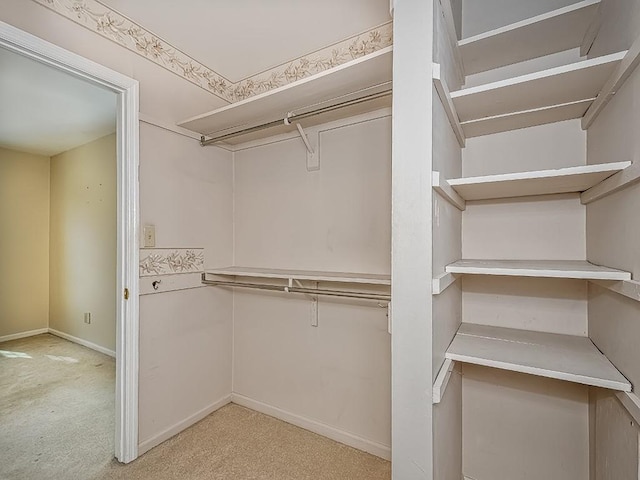 spacious closet featuring light colored carpet