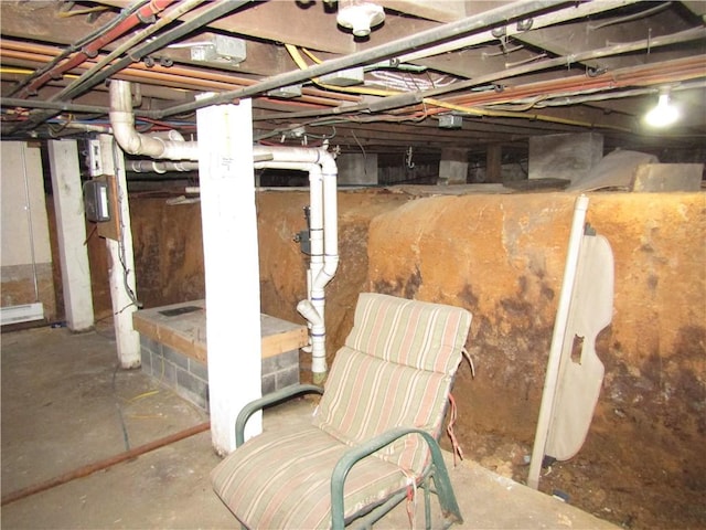 view of unfinished basement