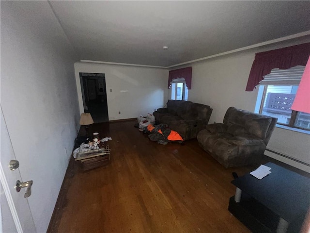 living area featuring a baseboard radiator and wood finished floors